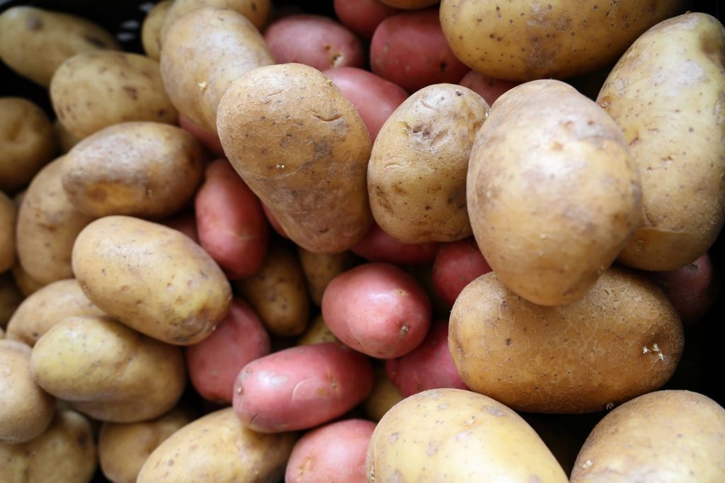 Gratitude Charity 2025